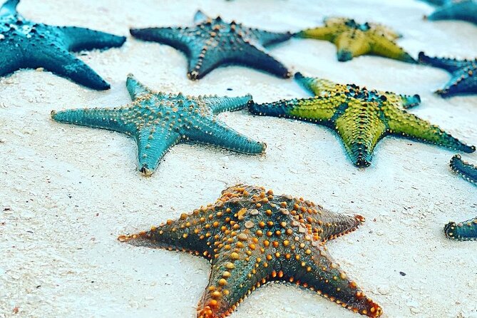 Zanzibar Starfish Adventure; Blue Lagoon; The Rock; Kuza Cave; Paje Beach Tour