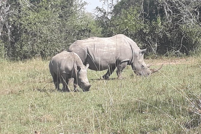 Zziwa Rhino Sanctuary Walking Safari - Customer Reviews