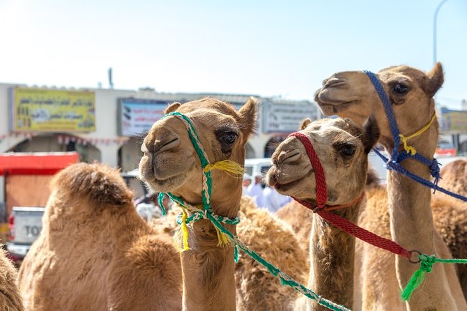 9-Day Essence of the Orient Private Tour From Muscat - Good To Know