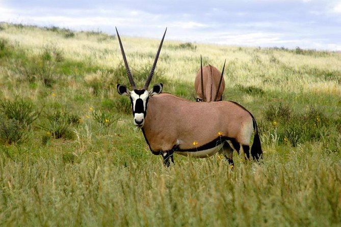 A Day Trip to Saadani National Park From Dar Es Salaam / Zanzibar - Good To Know