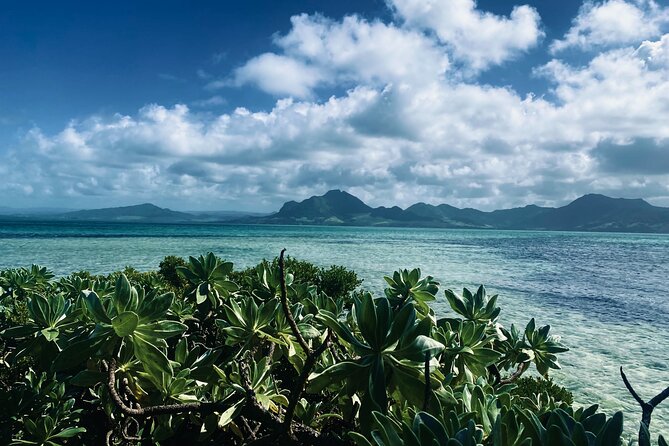 A Private Excursion of the South East Lagoon of Mauritius