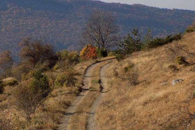 A Walking Over the Jurassic Sea: One Day Trip From Sofia - Good To Know