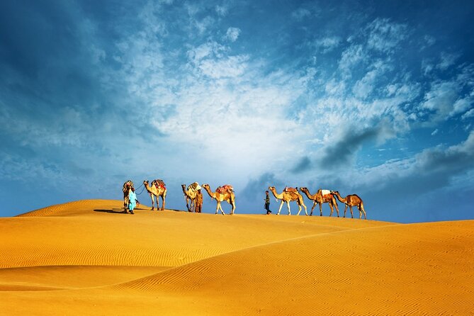 Abu Dhabi Evening Desert Safari Adventure - Good To Know