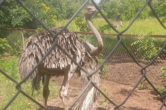 Accra: Shai Hills Mini Safari and Boat Cruise Private Day Tour - Good To Know