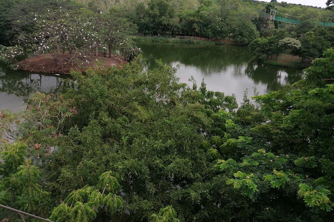 Accra Zoo, Canopy Walk and Botanical Gardens Private Tour - Tour Highlights