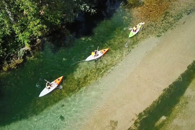 Adventure Kayak on Bunica River: Bbq/Veggie Lunch & Wildlife - Good To Know