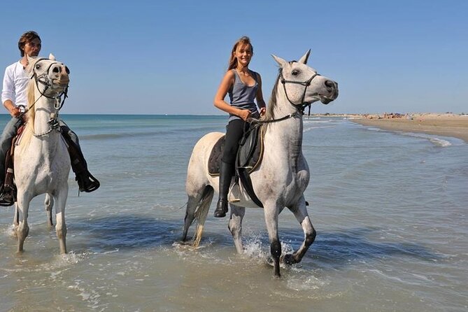 Adventure Safari By Horse In Sharm El Sheikh - Good To Know