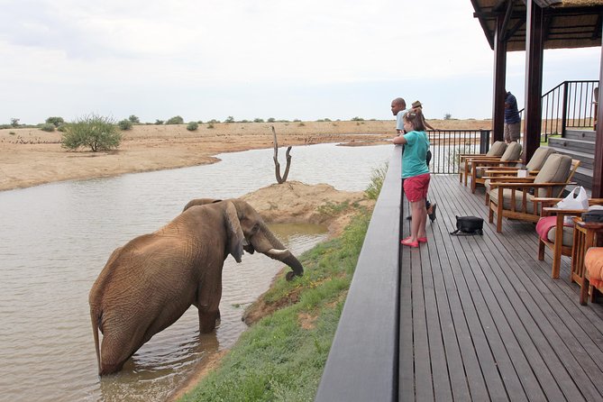 Adventure Silver Safari - Good To Know