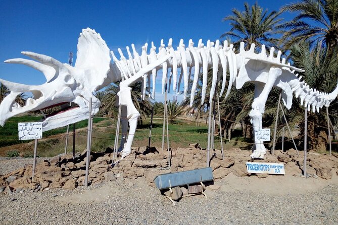 Agadir Inclusive Journey Through Atlas Mountains, Sahara Sands