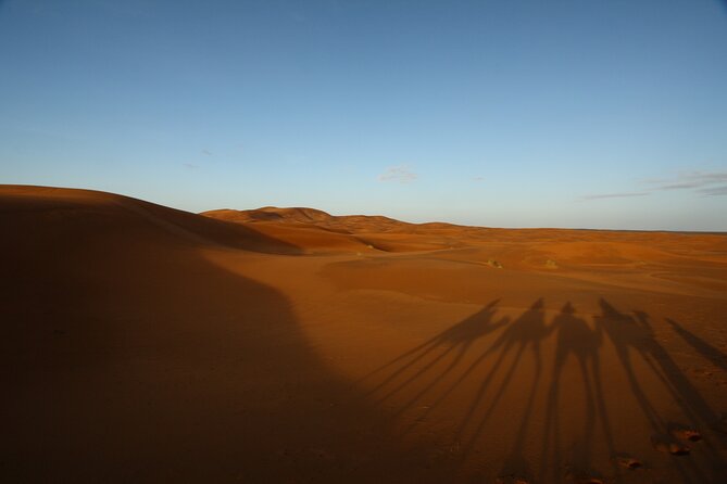 Agafay Desert Sunset, Camel Ride and Dinner From Marrakech - Good To Know