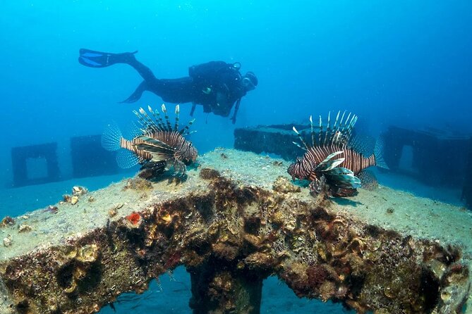 Alanya Scuba Diving Tour - Tour Details