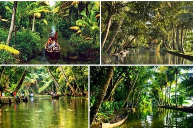 Alasr Lakeview Cruise /Hourly Trips to Backwater of Alleppey - Good To Know