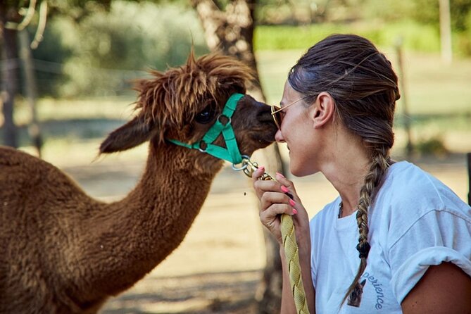 Alpaca Trek - Good To Know