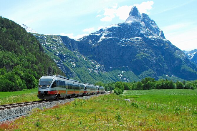Åndalsnes to Trollstigen Scenic Tour - Good To Know