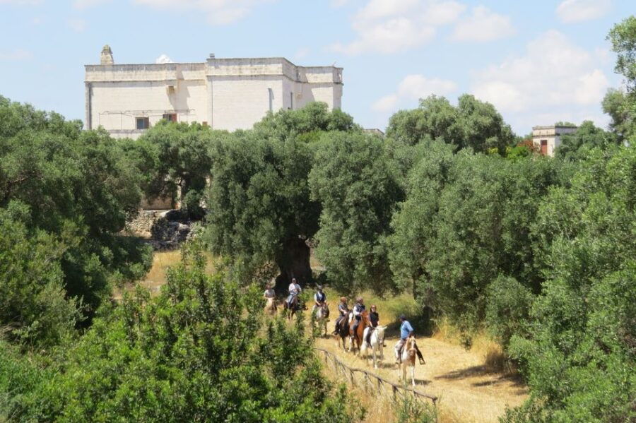 Apulia: Horseback Riding Trip in Parco Dune Costiere