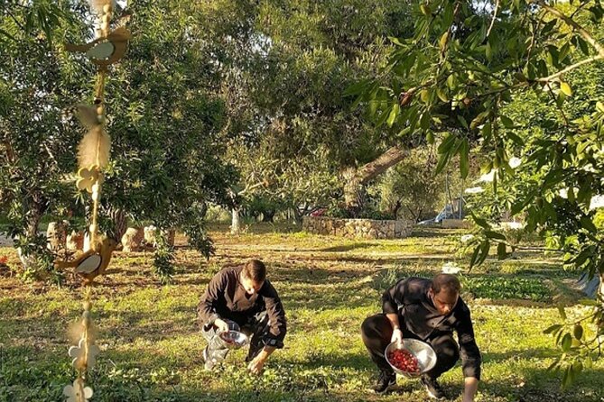 Argostoli: Farm Delights and Timeless Tastes - Good To Know