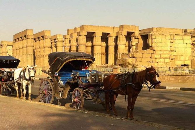 Aswan City Tour by Horse Carriage - Good To Know