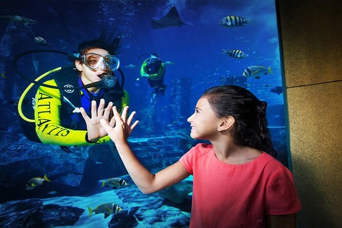 Atlantis Lost Chamber Aquarium in Dubai - Good To Know