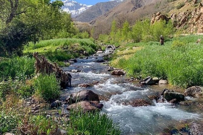 Atlas Mountain & Camel Ride, Day Trip - Tour Overview