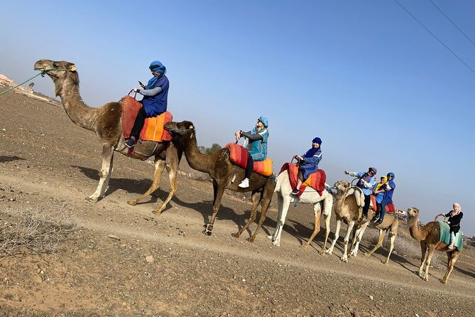 Atlas Mountains Journey From Marrakech, Camel Ride & Three Valley - Meeting Point Details