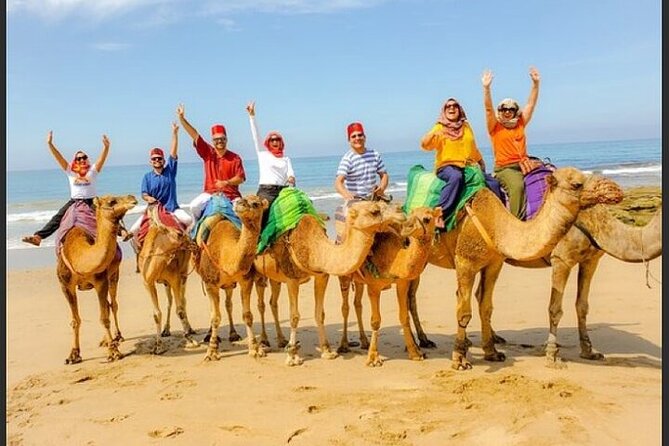 Authentic Private Tangier Tour From Estepona Camel Ride & Lunch - Good To Know