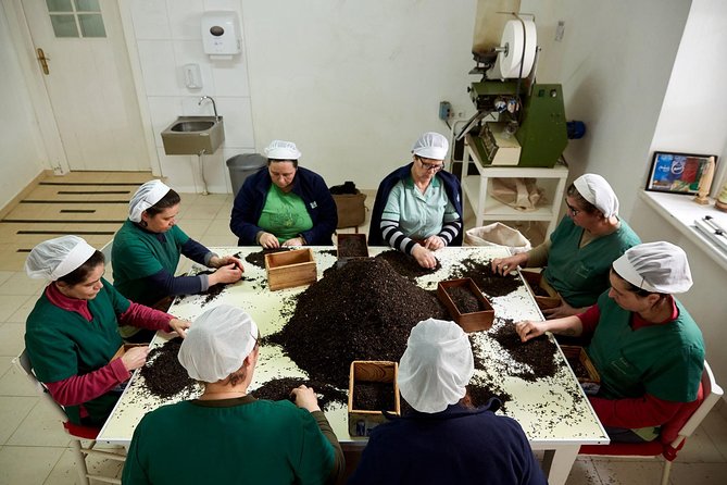 Azores: 1 Day Private Tour Furnas Volcanic Activity & Hot Springs - Tour Location and Duration