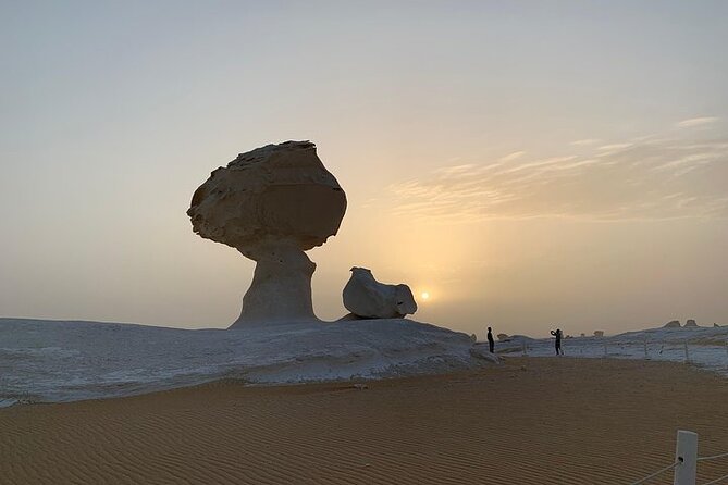 Bahariya Oasis Journey Into Tranquility Exploring Safari Desert - Good To Know