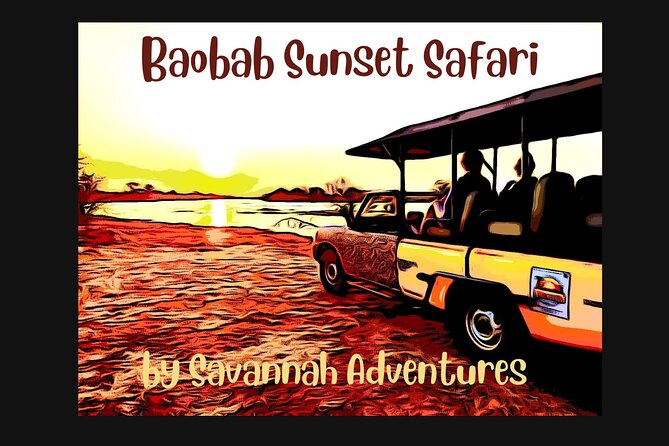 Baobab-Sunrise-Sunset-Vulture-Moonlight Safaris, 4 Options - Good To Know