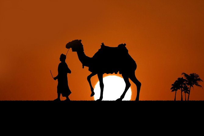 Bedouin Night at Sharm El Sheikh - Good To Know