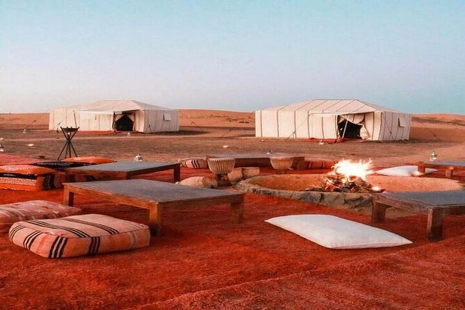 Bedouin Safari and Star Gazing Tour - Good To Know