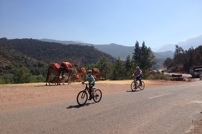 Beginners On-Road Bike Tour of the Atlas Mountains From Marrakech - Good To Know