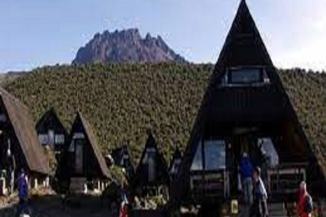Best 1 Day Kilimanjaro Hiking Tour Via Marangu Route 2024/2025 - Good To Know