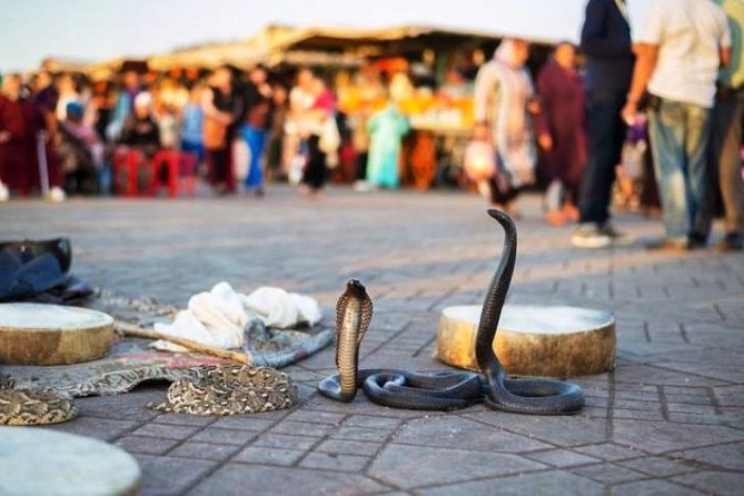 Best of Marrakech 5 Hour Private Tour - Tour Highlights