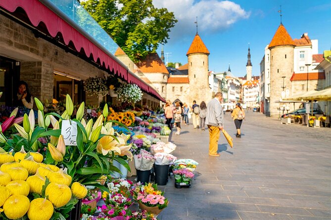 Best of Tallinn Private Tour - Good To Know
