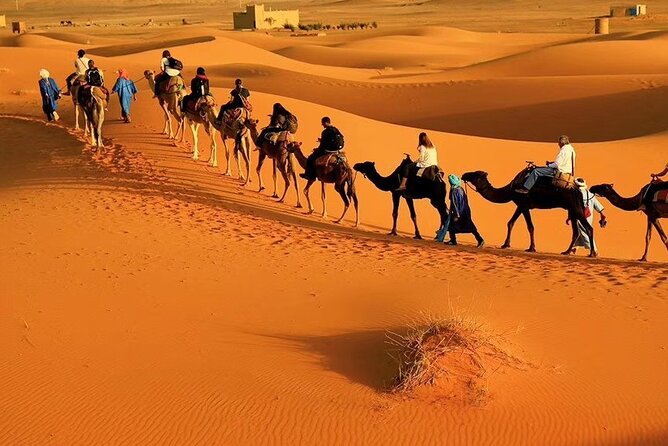 Best Private 3 Days Fes Desert Tour - Good To Know