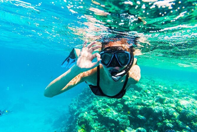 Best Yacht Tour Including Two Dives With Lunch in Hurghada - Good To Know
