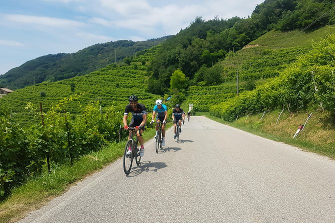 Bike Tour of Castles and Hills of UNESCO Conegliano