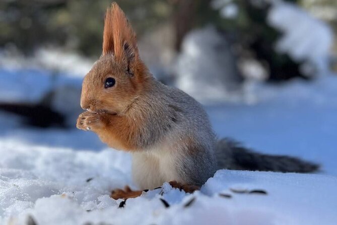 Bishkek'S Finest: Ala Archa Nature Park Essential Tour - Good To Know