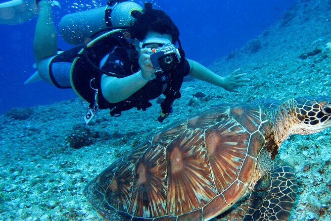 Bodrum Scuba Diving Tour With Lunch & Roundtrip Transfer - Meeting Point and Start Time