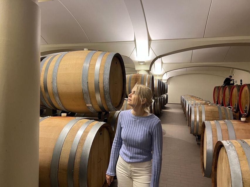 Bologna Vineyard Vista: a Journey Through Emilian Wines