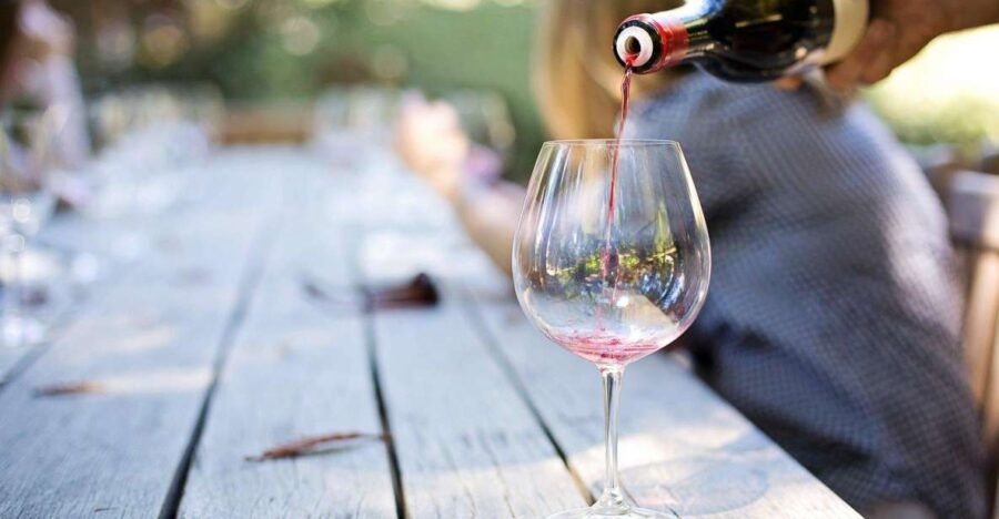 Bologna: Wine Tasting Experience With a Local Guide