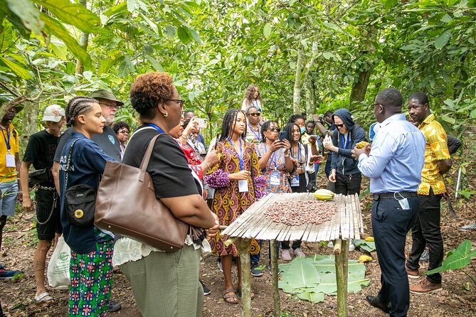 Boti Falls, Botanic Gardens, Cocoa Fam, Umbrella Rock Experience - Overview of the Tour