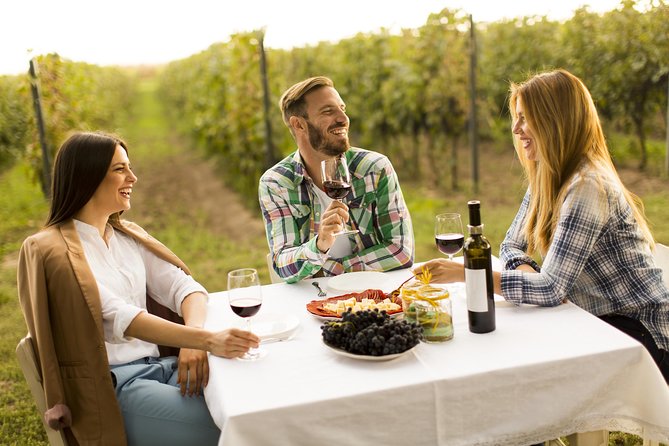 Bucharest Private Wine Tasting Tour on Dealu Mares Old Wine Road