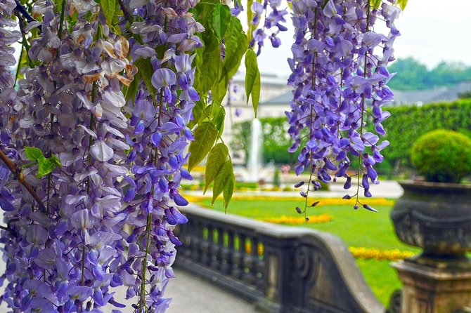 Budapest to Salzburg - 2h of Sightseeing Private Car Transfer - Inclusions