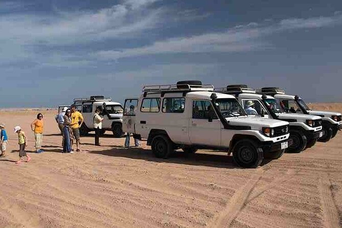Budget Luxor Bedouin Desert Safari Tours by Jeep 4X4 - Good To Know
