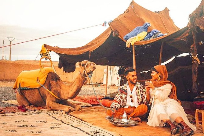 Buggy and Camel Halfday in Marrakesh - Good To Know