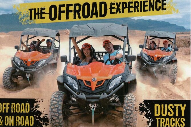Buggy Tour South Coast of Tenerife With Off-Road - Good To Know
