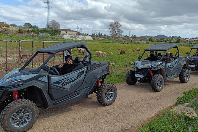 Buggy Tour Through Beaches and Viewpoints. - Good To Know