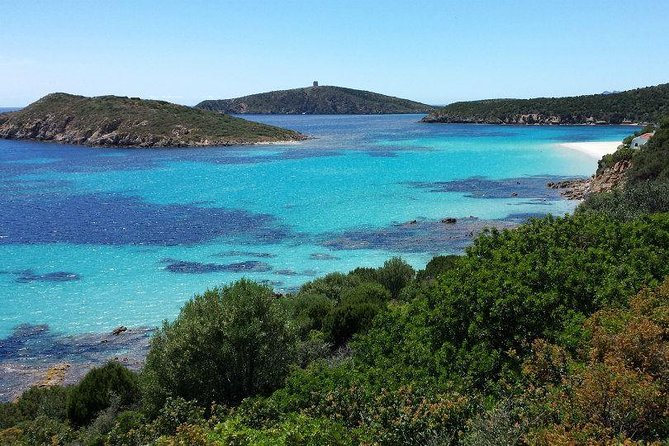 Cagliari: Full-Day Fishing Tourism Private Excursion From Chia - Good To Know
