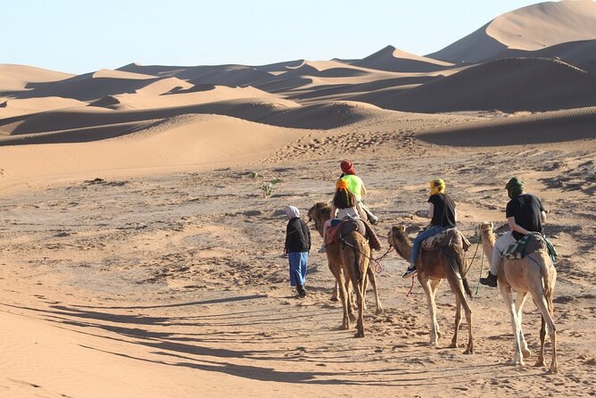 Camel Agadir - Good To Know